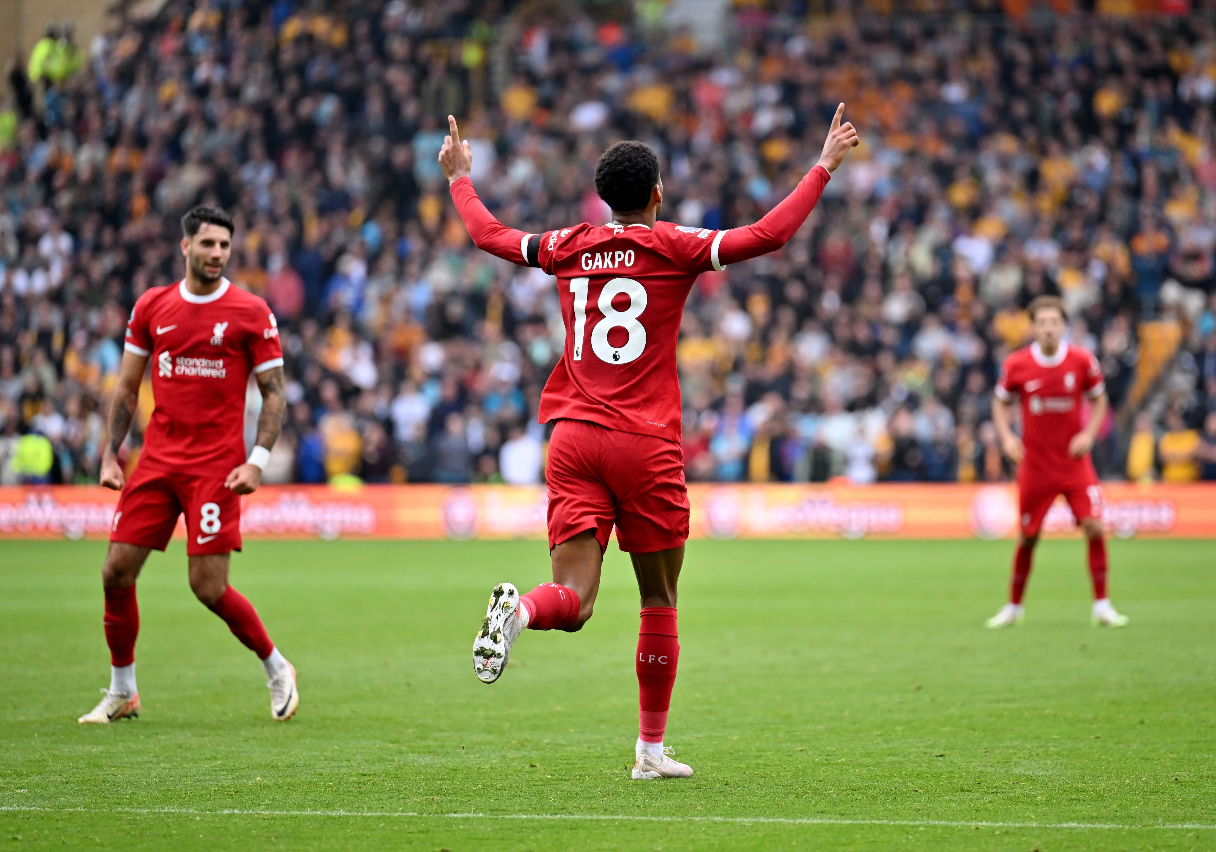 VIDEO: Cody Gakpo equalizes vs Wolves after Mo Salah's superior assist